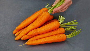 Когда подешевеет морковь, буду готовить каждый день: три простых и вкусных рецепта для сытного и полезного обеда