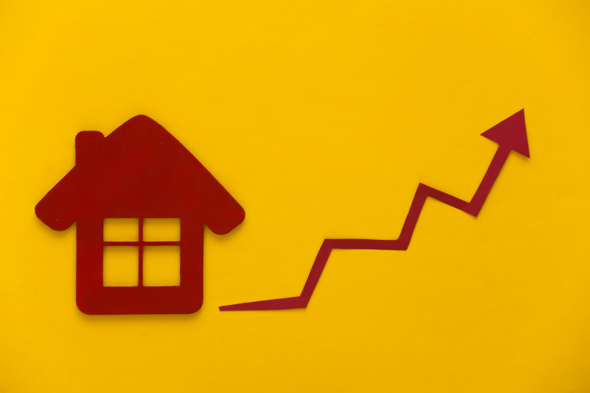 В России очень сильно выросли цены на строительные материалы