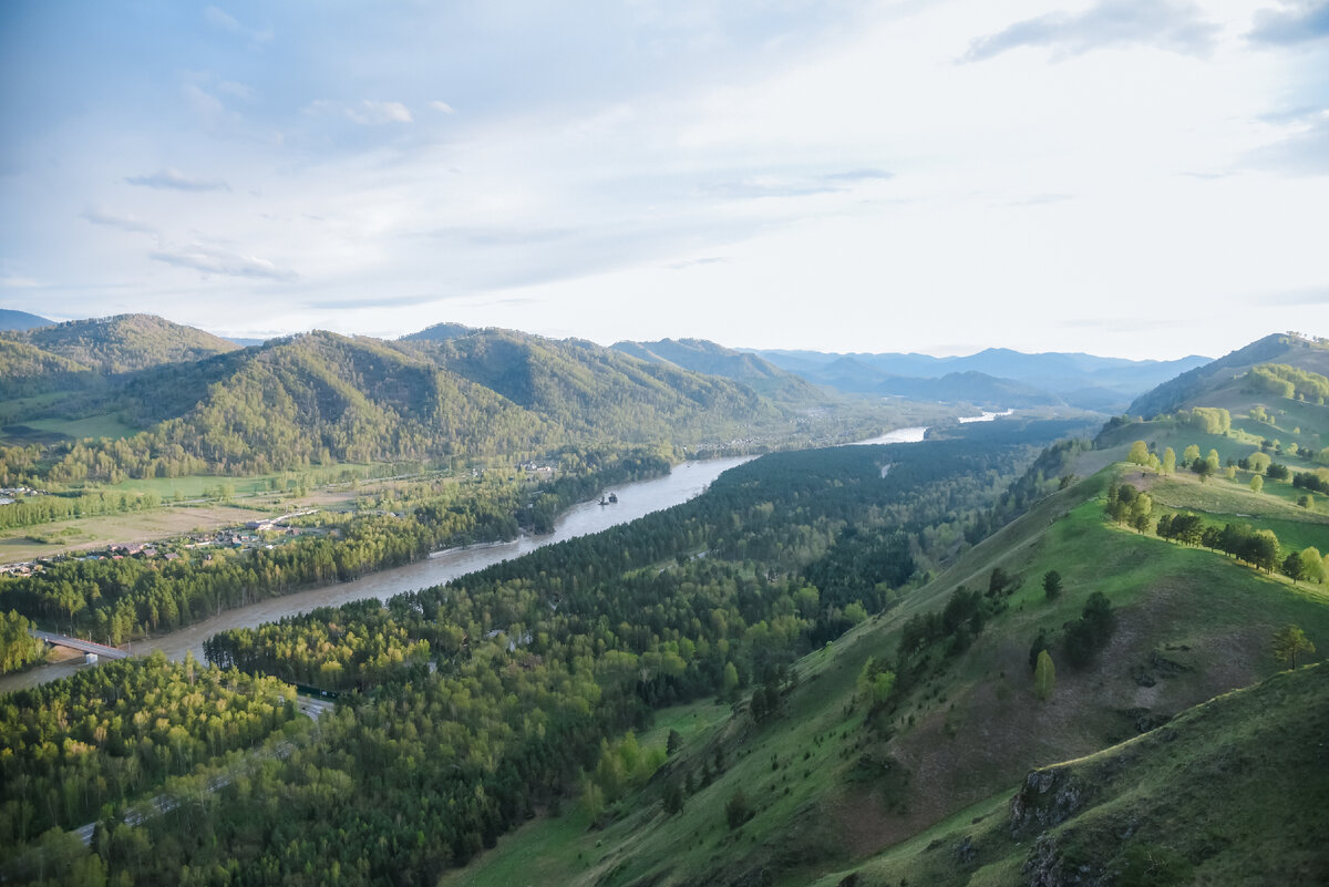 фотография сделана Аленой, все права на снимок принадлежат ей. В случае копирования изображения, прошу указывать ссылку на этот канал