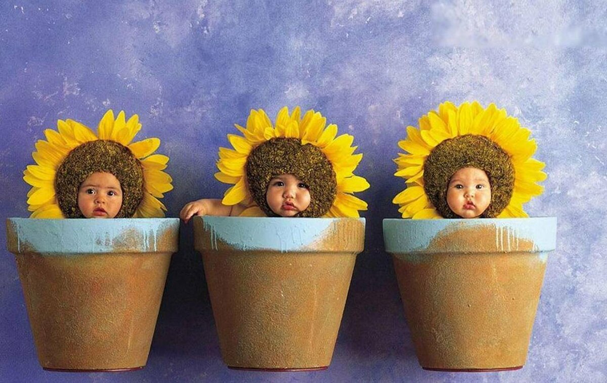 Изображение взято из интернета.