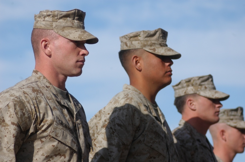 фотография взята с открытых источников