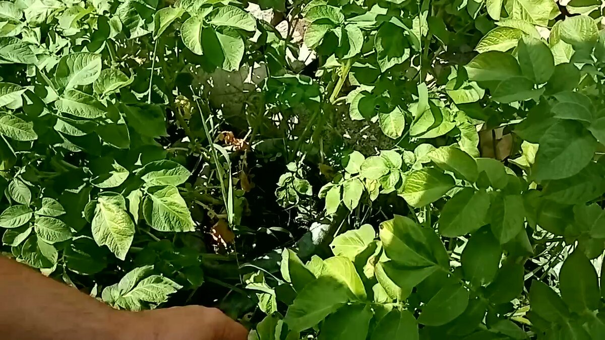 1 июля 2021 года