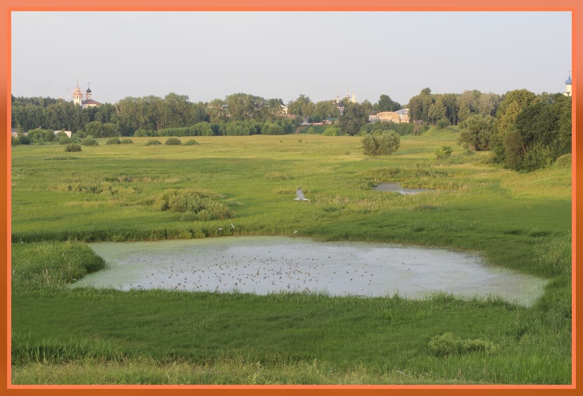 Вид на центр Суздаля со смотровой площадки Ильинский луг.