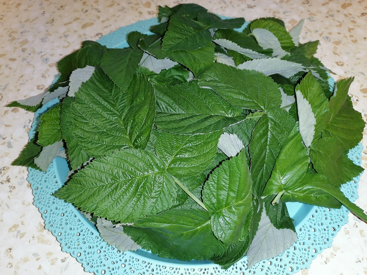 Листья малины