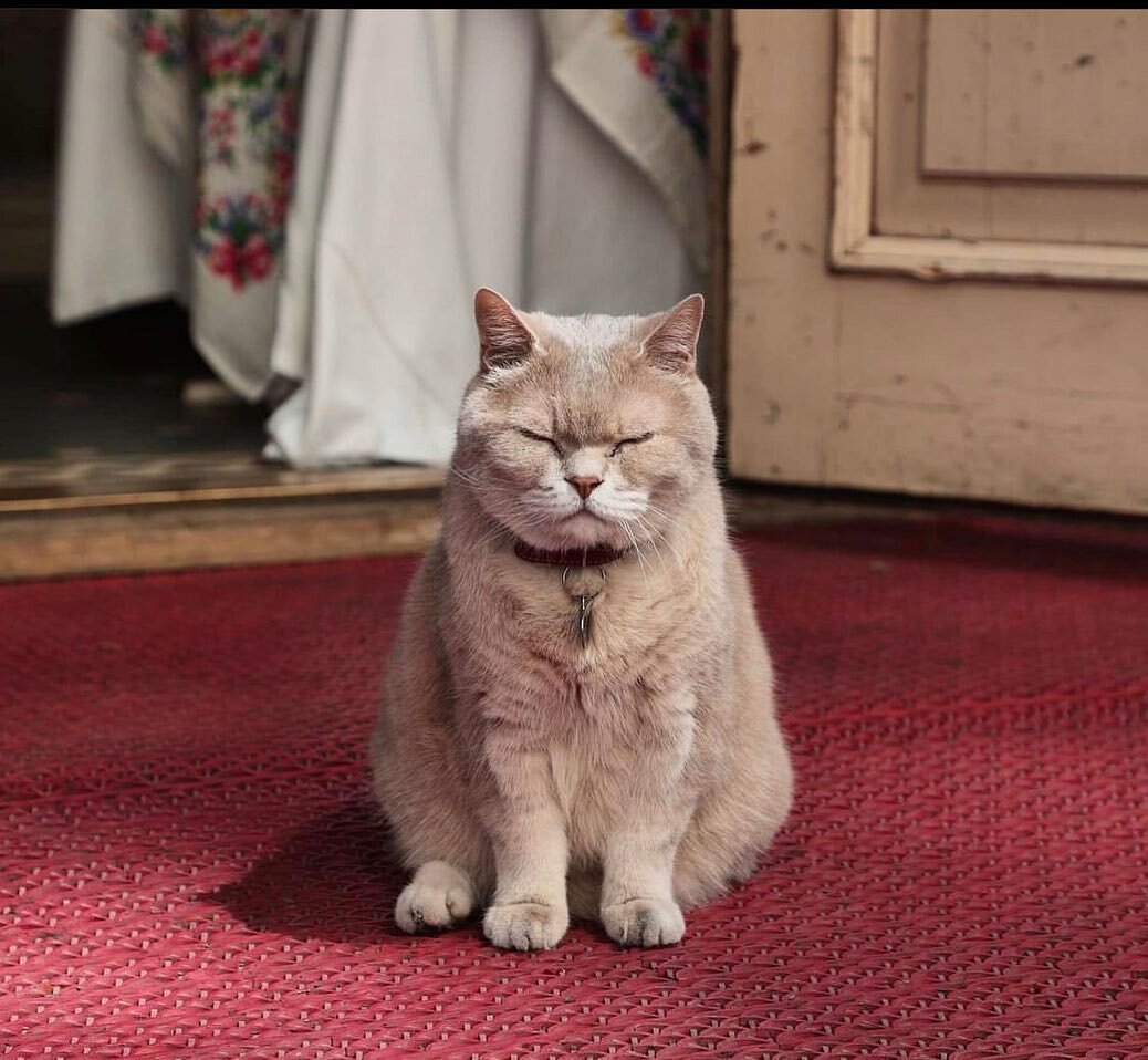 фото со страницы МариVanna на фейсбук