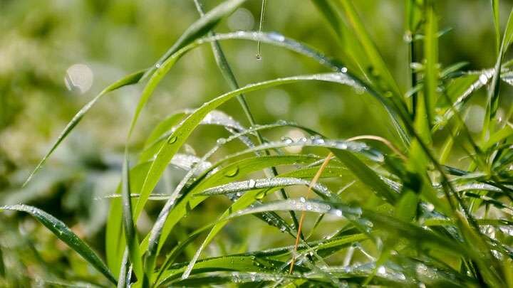 Фото: из открытых источников