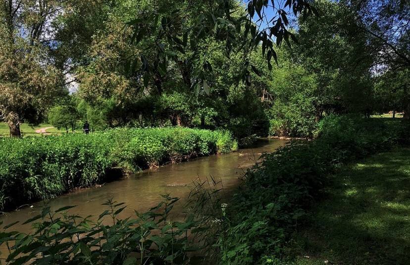 На территории заказника. Источник: Википедия