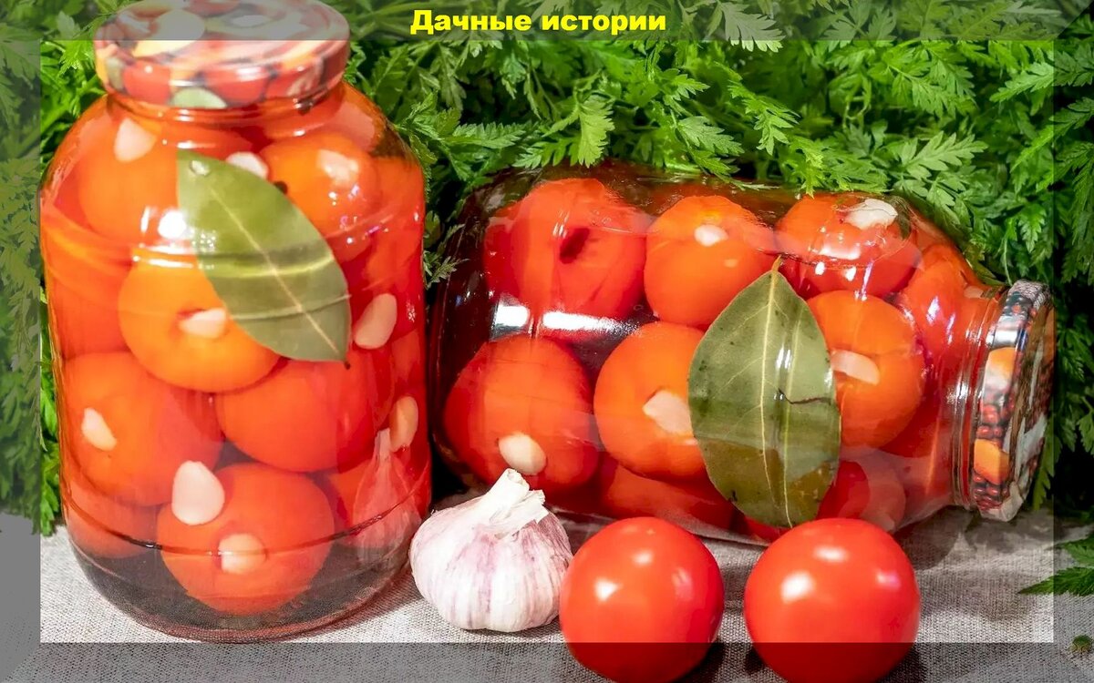https://vk.com/photo-159774511_457248863