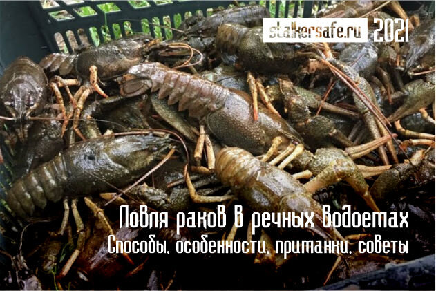 Интернет-магазин Stalkersafe.ru