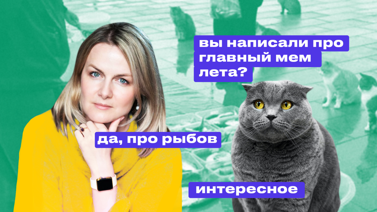 Ксения Туркова, Иллюстрации Марии Соколковой