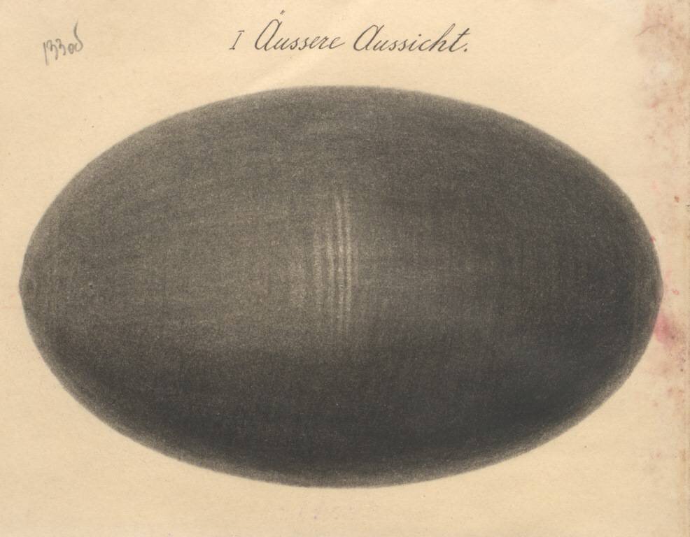 Предполагаемый танк "Обой"