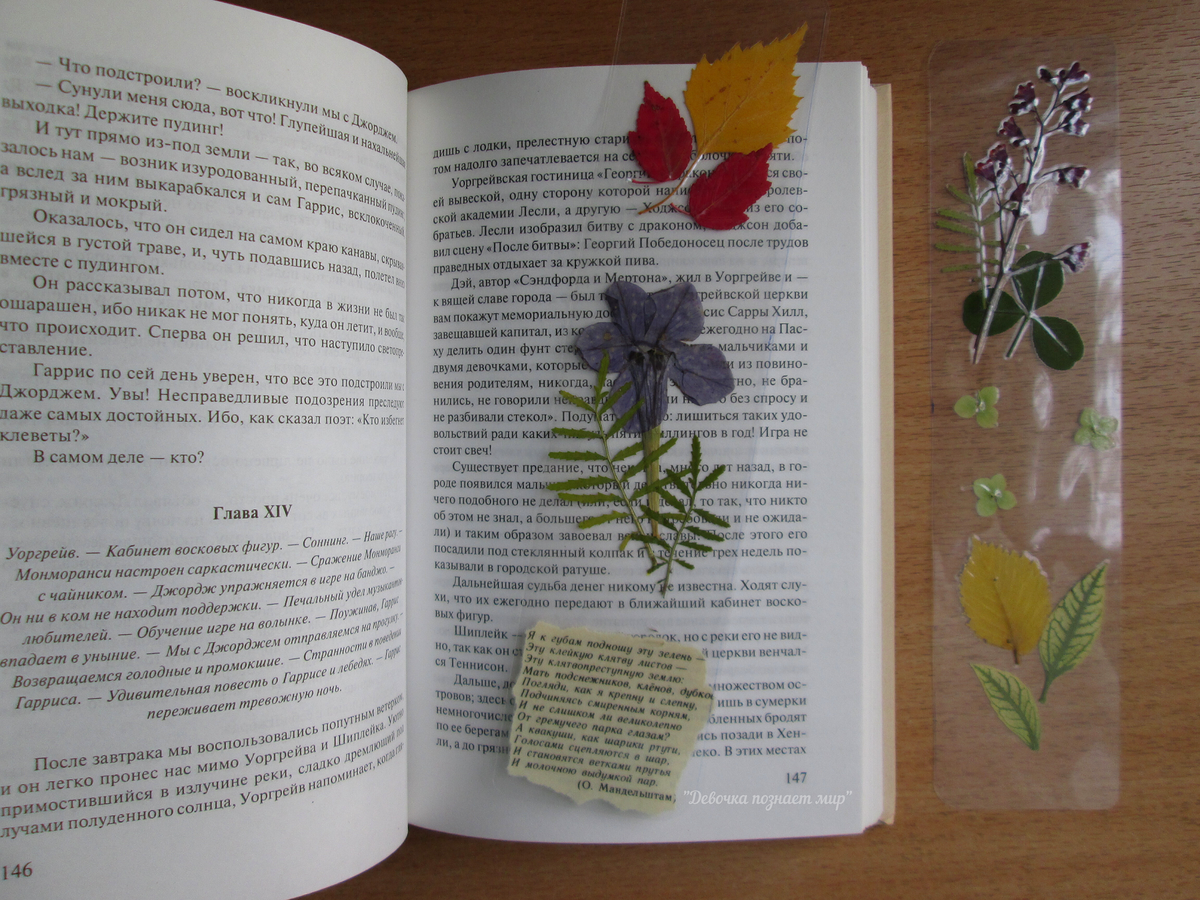 Осеннее настроение / фото автора