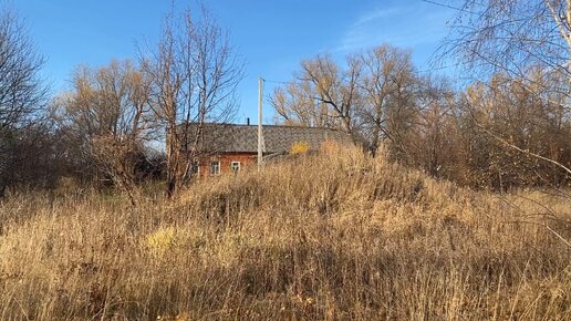 Приехали за грибами в опустевшую деревню. Нашли там осенние рядовки и старый заброшенный барский дом