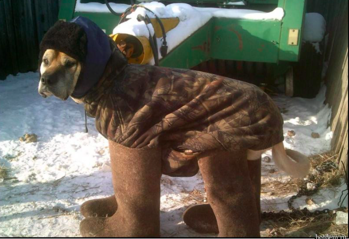 Жажда победы или?