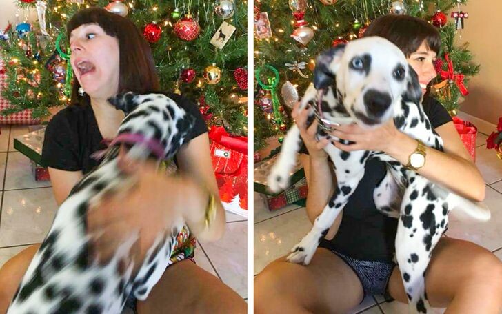 © Макаронники/Imgur