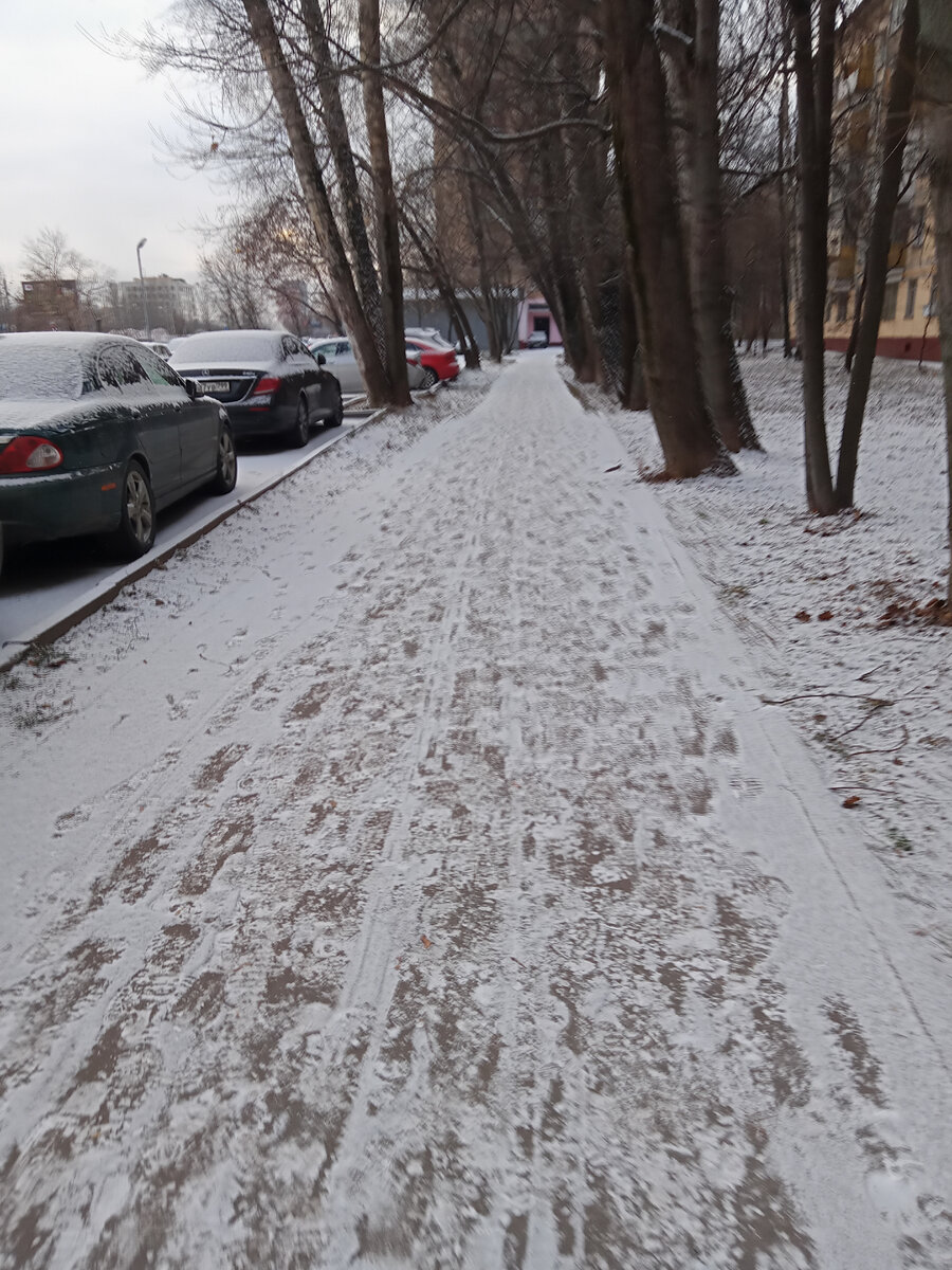 Фото автора. Зима