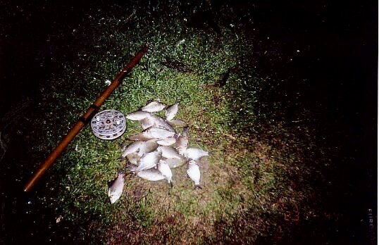 Фото из архива автора Башкортостан 2000 год