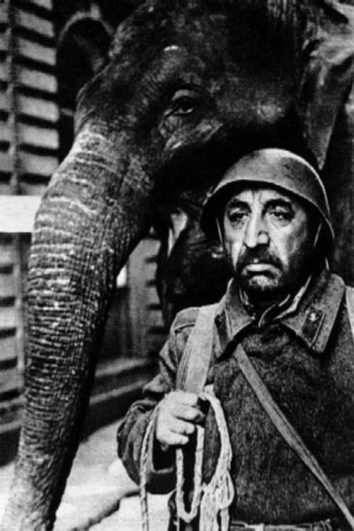 кадр из фильма