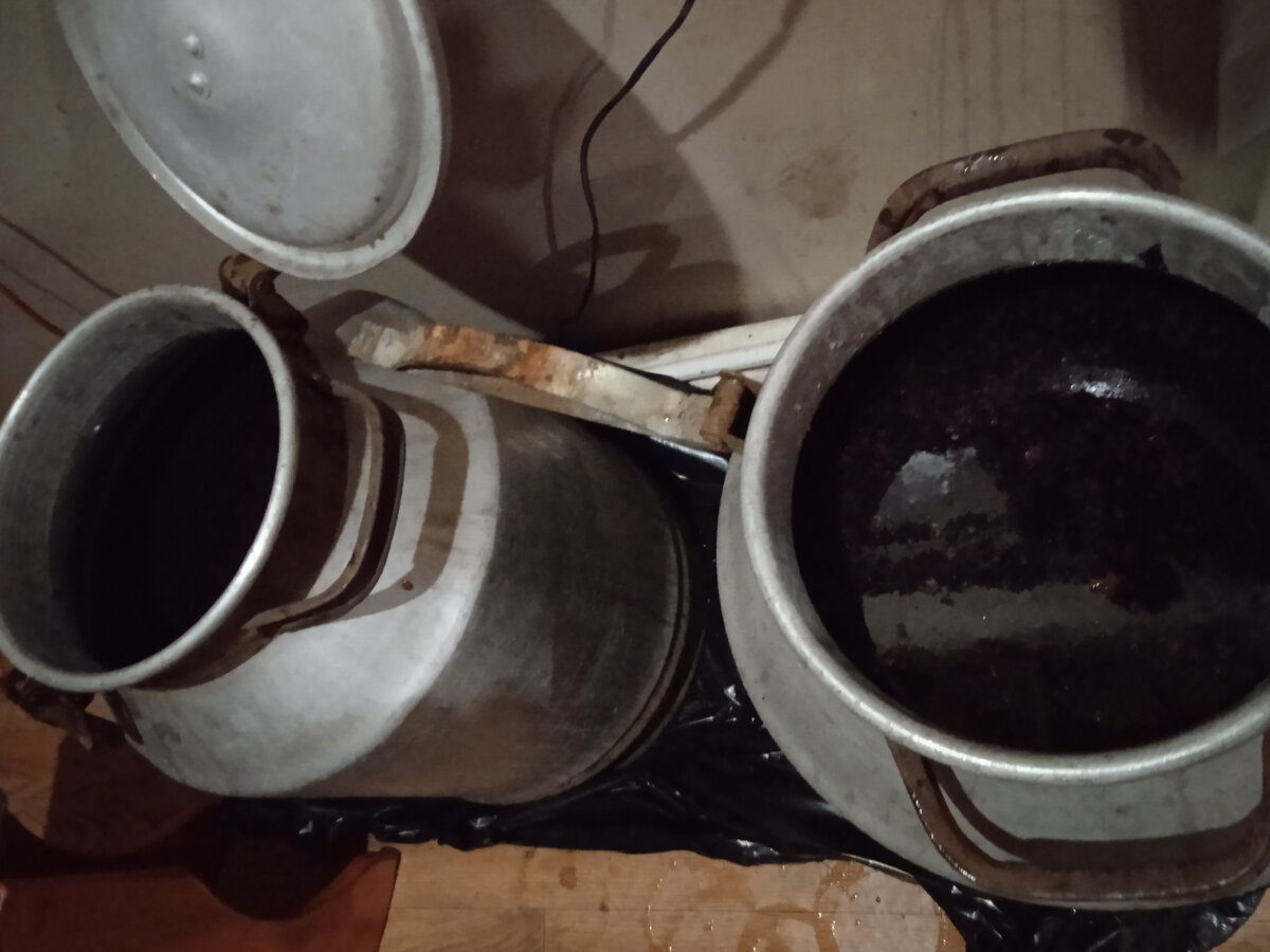 Вышло две больших фляги, интересно какой выход из них получится