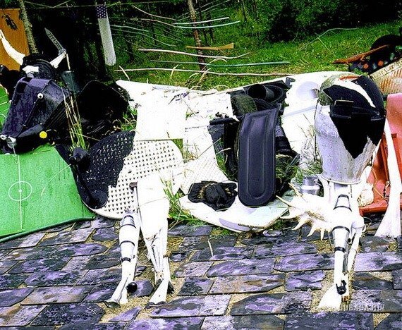 Бернард Прас (Bernard Pras)