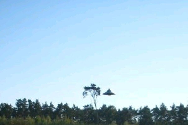 Фото скачано из интернета.https://d-galaydov.livejournal.com/152659.html