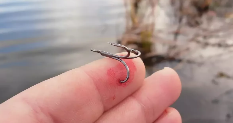 Фото с сайта: https://avatars.mds.yandex.net