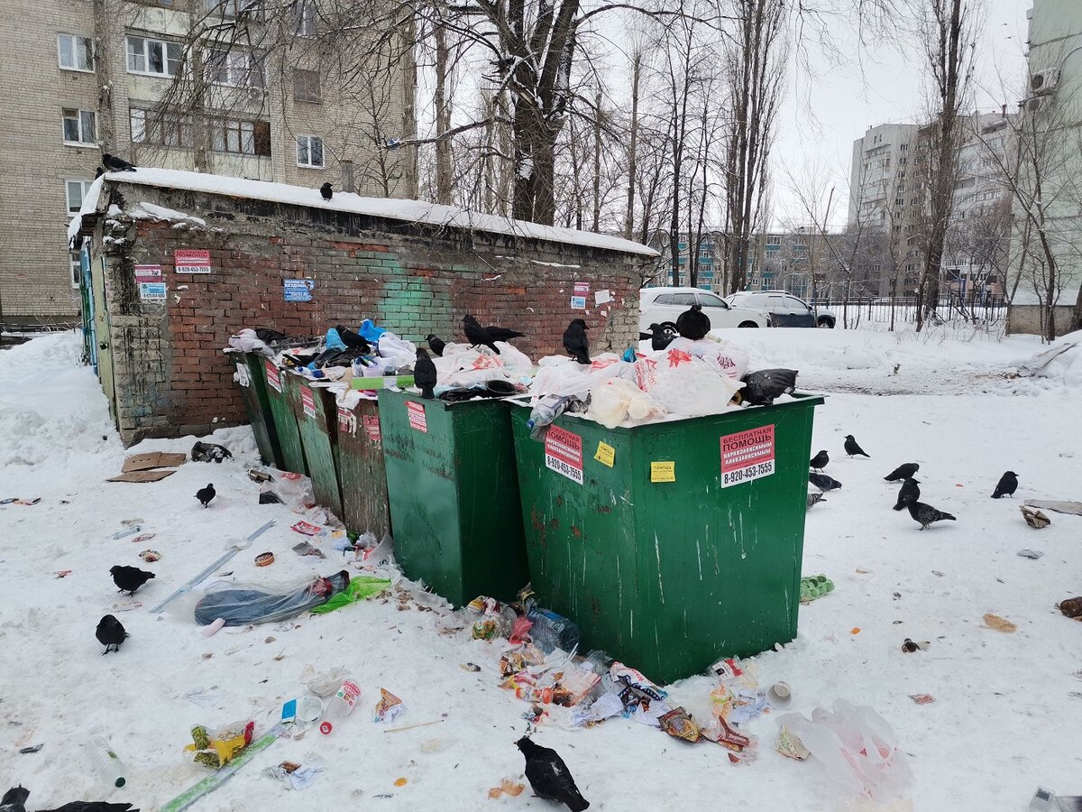 Тко информ. Мусорные площадки воронеж. тко.