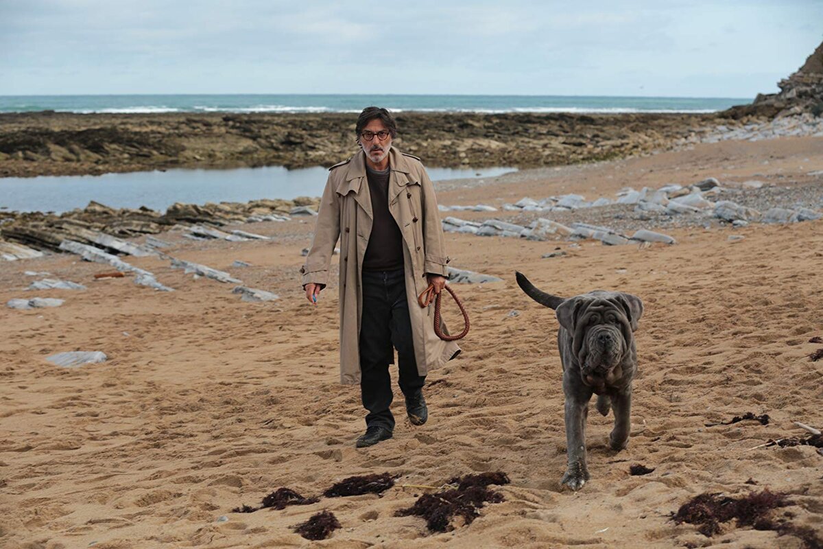 В феврале 2020-го на экраны страны вышла трагикомедия «Моя собака Идиот», впечатлившая не тем, что это хорошее в классическом понимании французское кино, а именно тем, что картина точно передаёт время.
