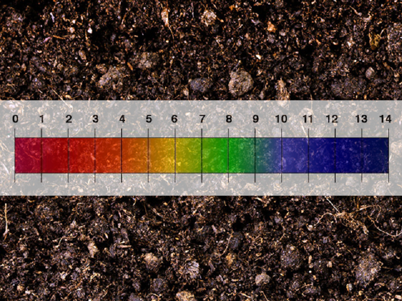 Почвы 7. PH Soils. Ph2036. Светло зеленый индикатор почвы. PH 6.