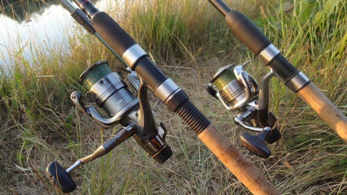 Фото с сайта: https://manrule.ru