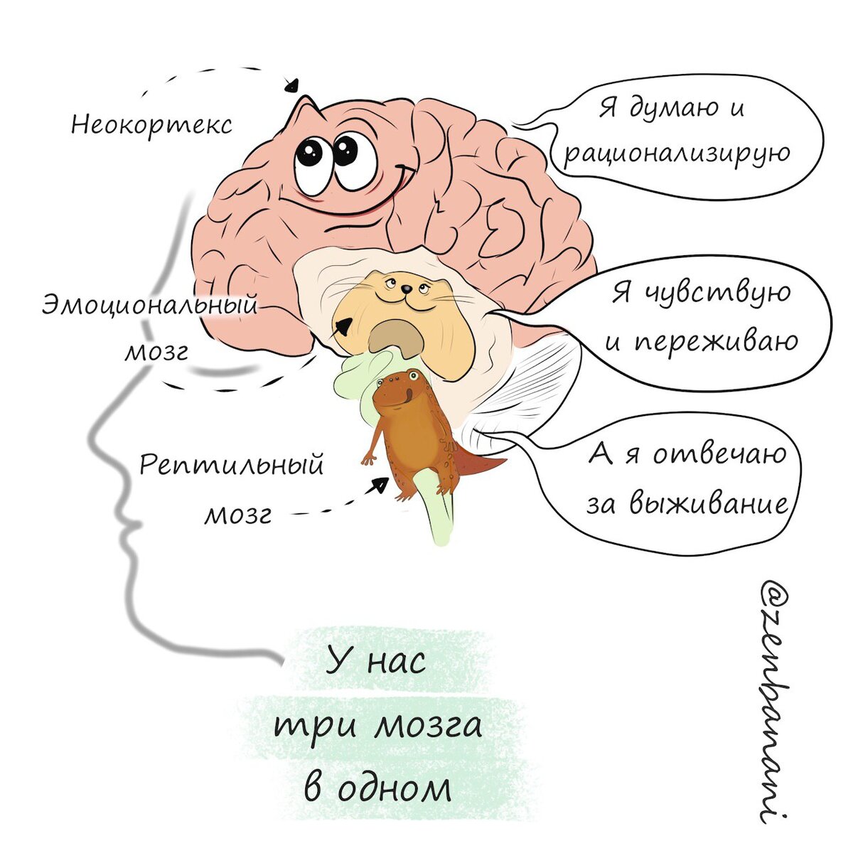ТЕОРИЯ О ТРИЕДИНОМ МОЗГЕ | Психология в комиксах ZenBanani | Дзен