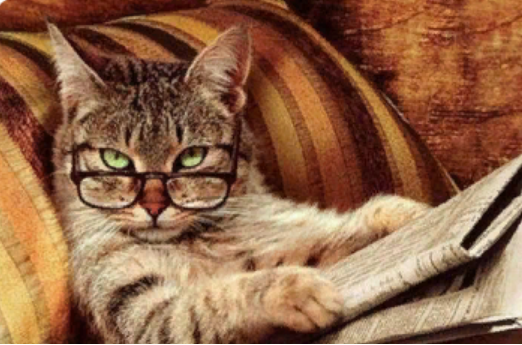 Картинка из открытого доступа в интернете