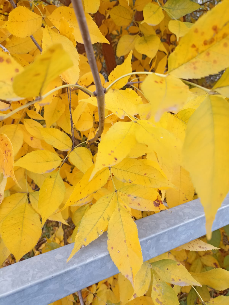 Не всегда все так просто как хочется