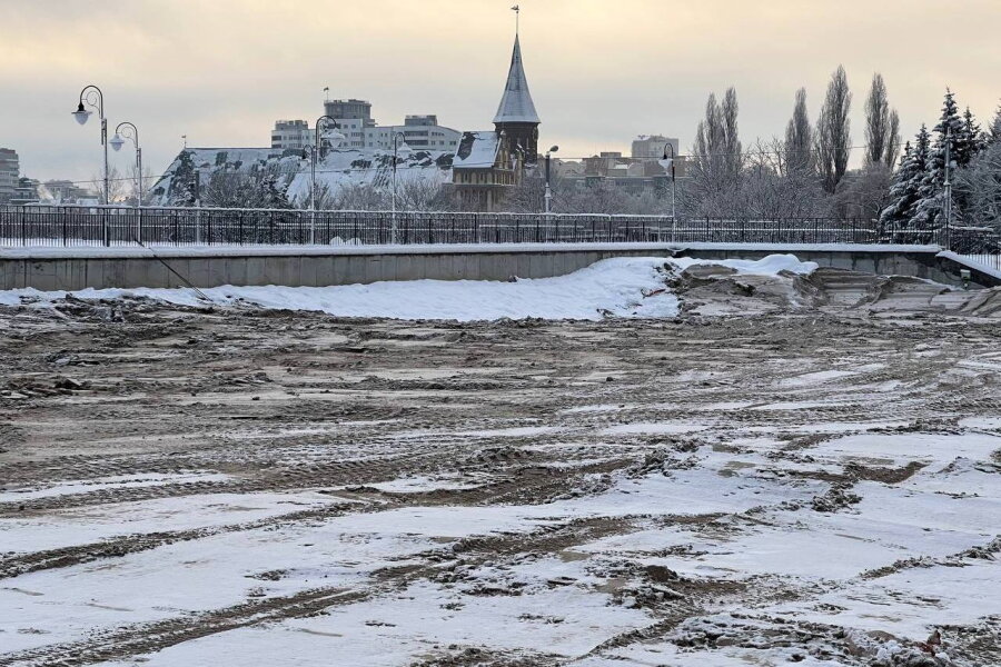 Фото: Виталий Невар / Новый Калининград