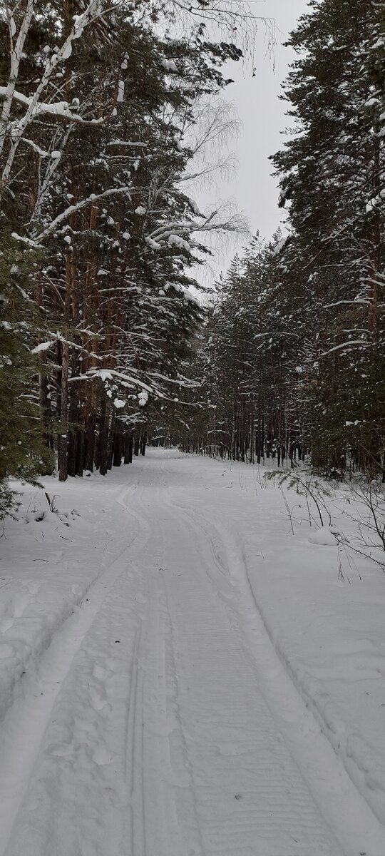 Дорога уводит в новый год
