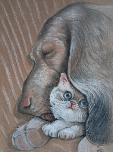 Источник изображения: https://vk.com/id5973829