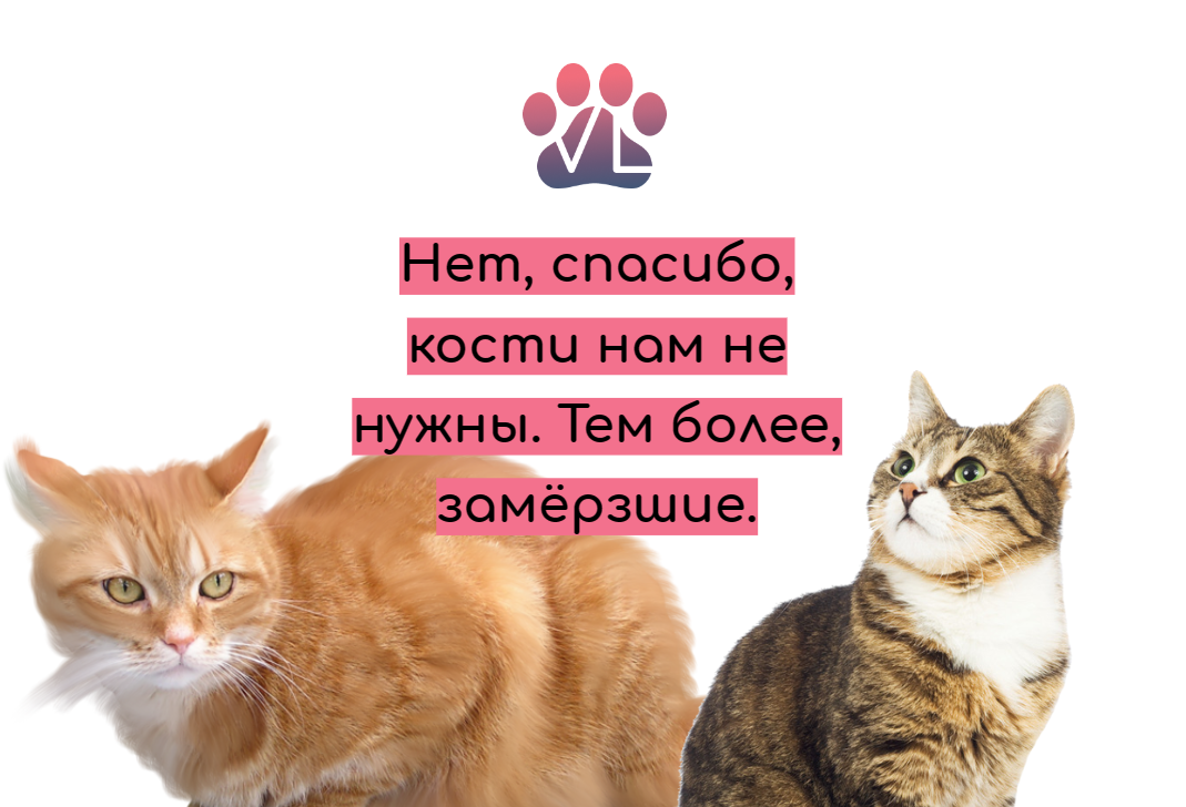 Как подружить котов