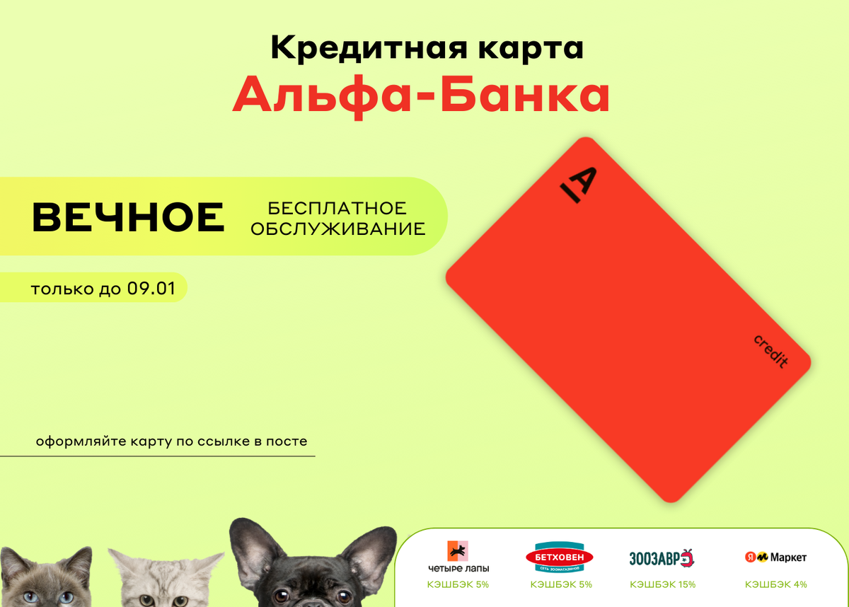 Карта альфа банка 365 дней