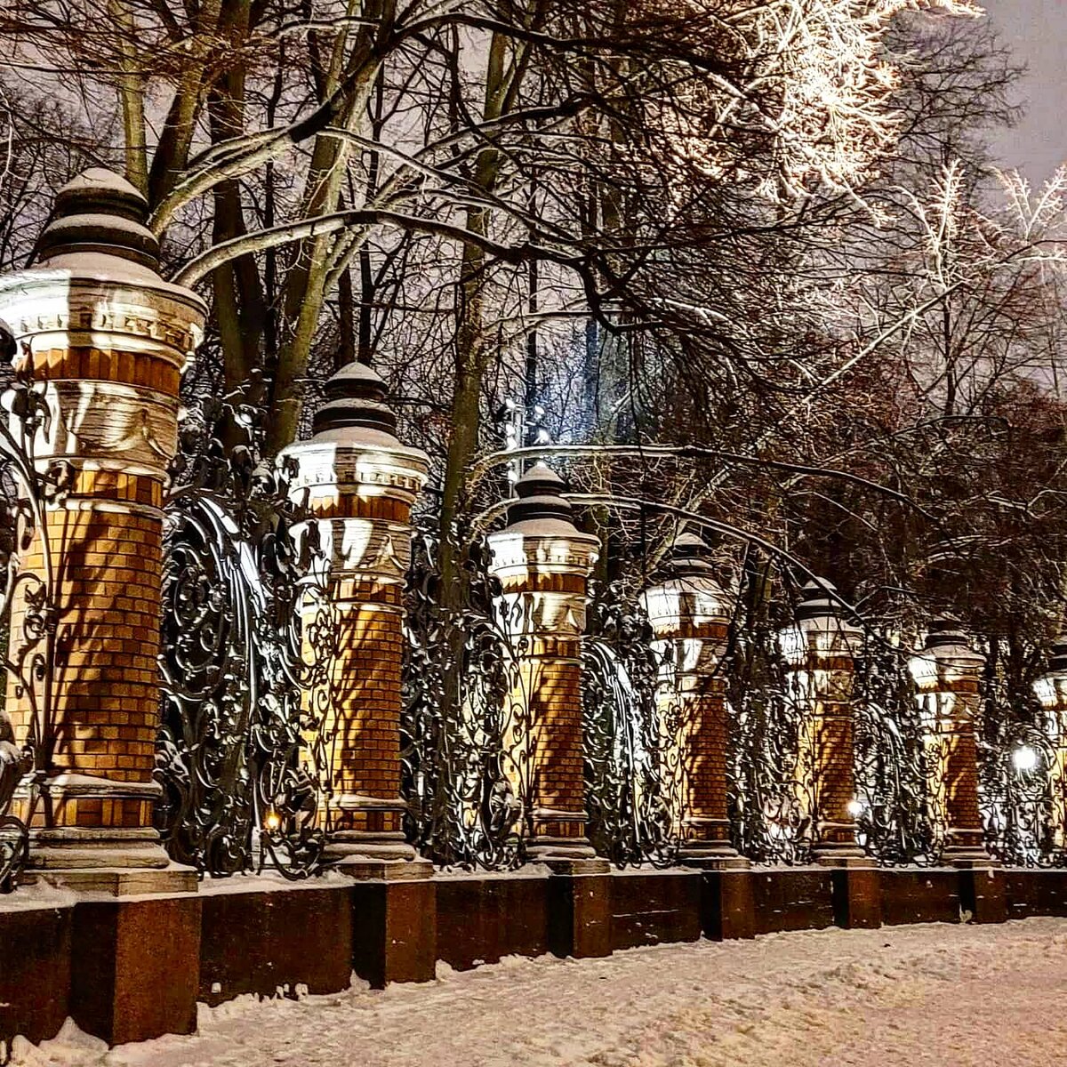 Кованая ограда Михайловского сада в Санкт-Петербурге. Фотография автора