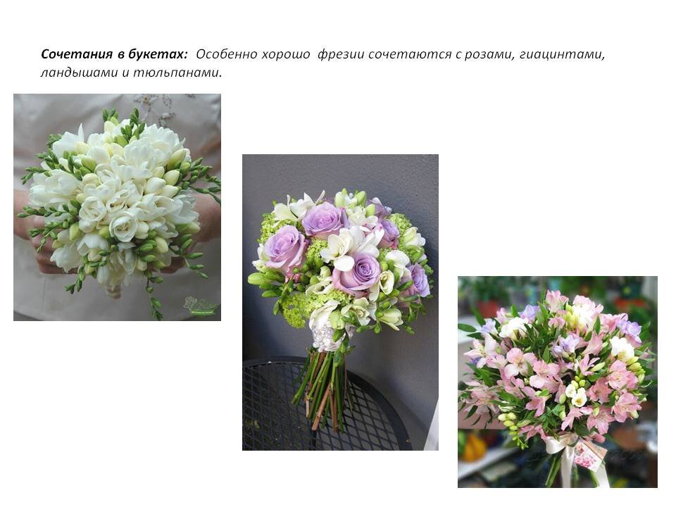 Фото из Презентации автора.