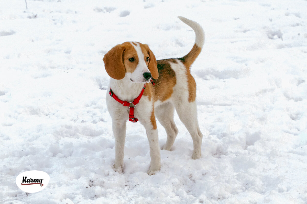 Авторское изображение с использованием картинки с фотостока "Unsplash"