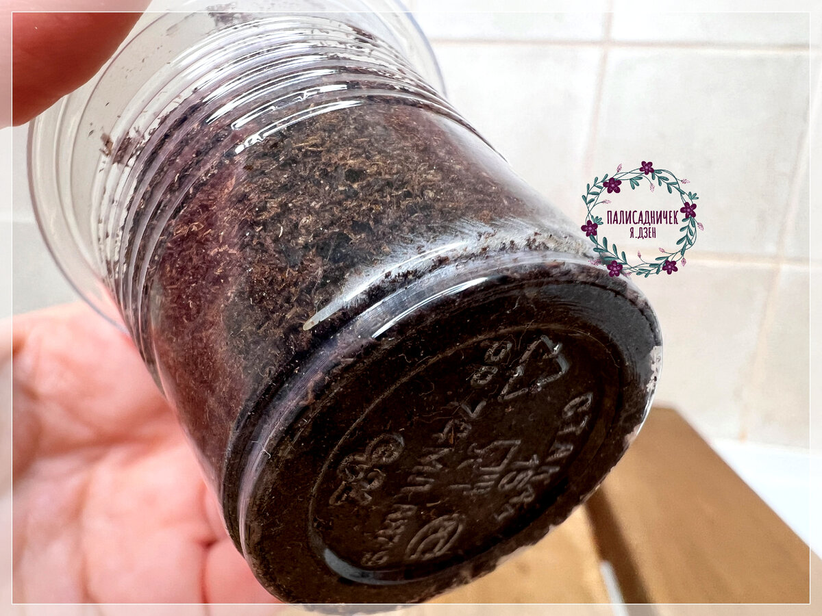 Это очень красивый на мой вкус. Пушистик. Листайте, пожалуйста, ещё. ⏩⏩