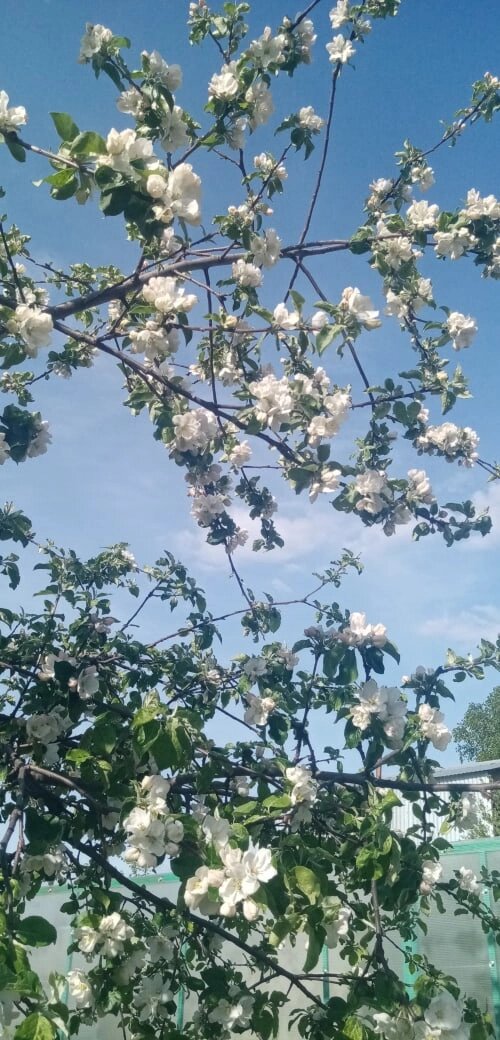 Фото из личного архива