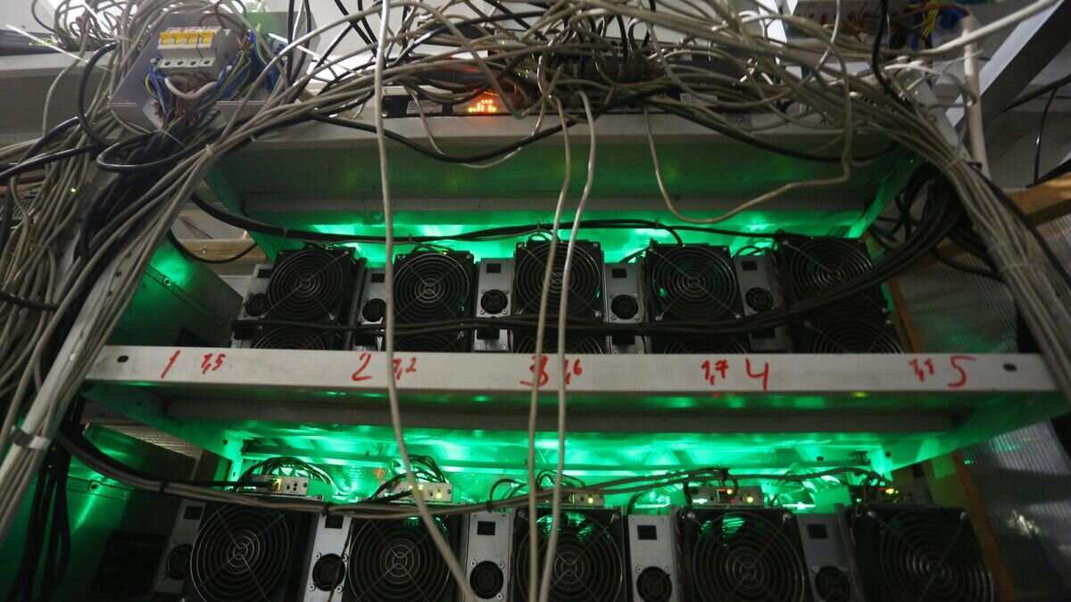    Стойка с асиками на одной из майнинговых ферм в Иркутской области© РИА Новости / Евгений Козырев