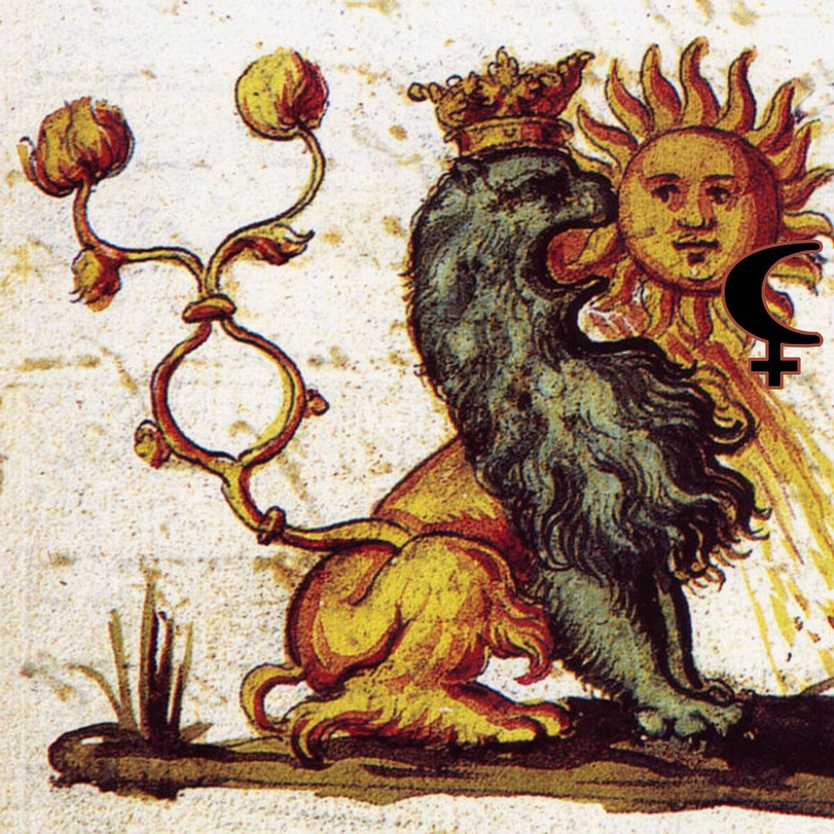 Лев пожирающий солнце Алхимия