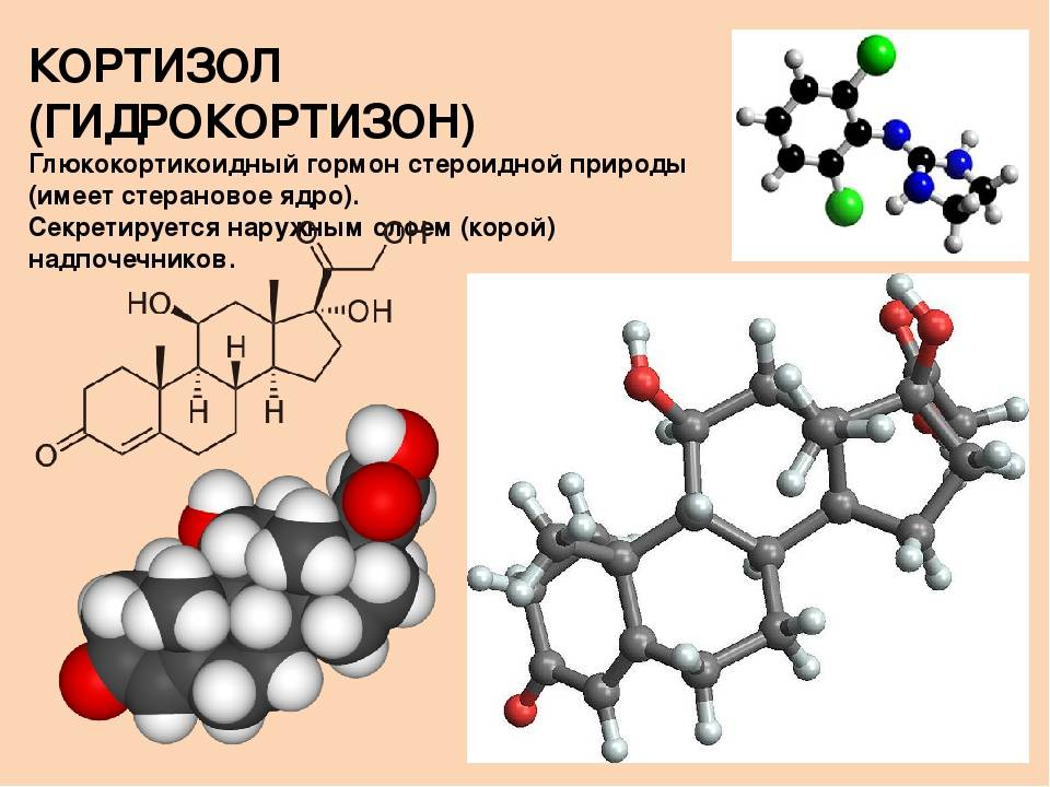 Кортизол 10