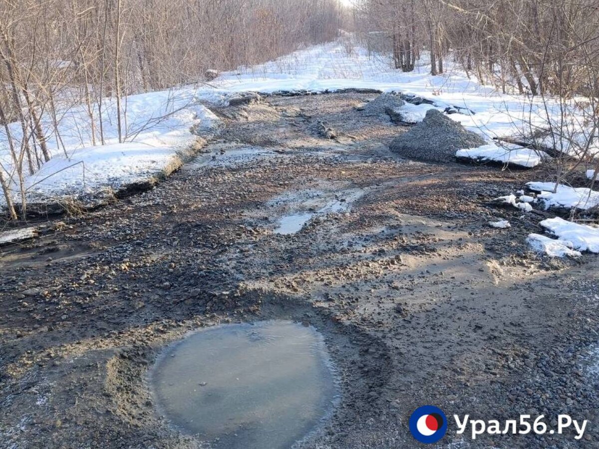    В Оренбурге выливают бетон в лесопосадке в районе улицы Центральной