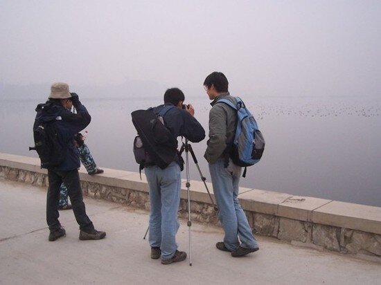     Источник: Википедия