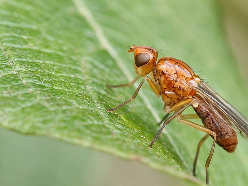 фото с ресурса: Яндекс картинки