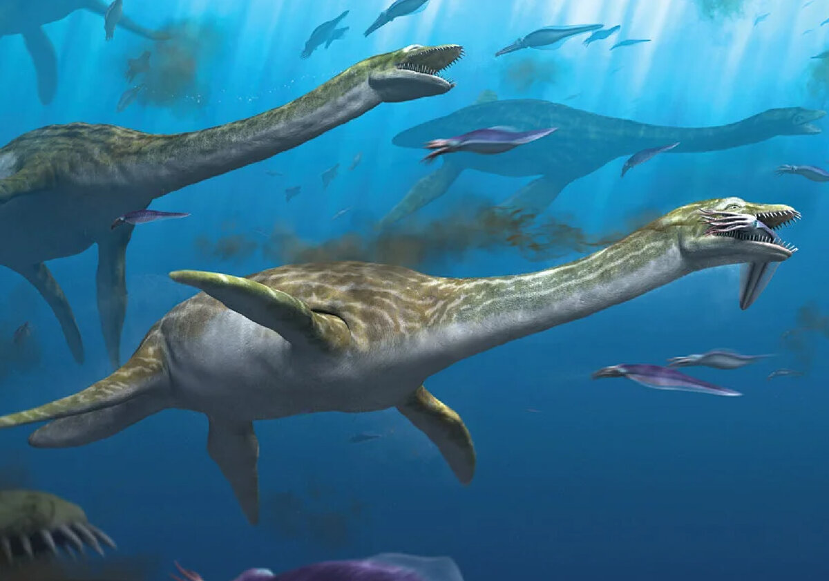 Динозавры морские Плезиозавр. Плезиозавр Лохнесское чудовище. Плезиозавр Юрского периода. Морские динозавры Ихтиозавр.